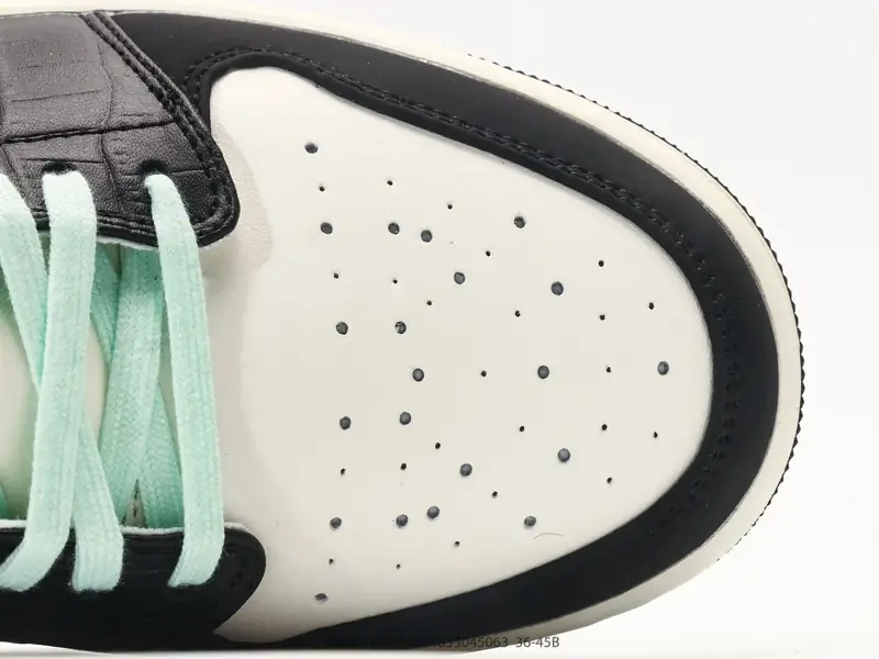 Nike Chaussures de skate Polyvalent Classique Basse IX5001-101 #27984833045063